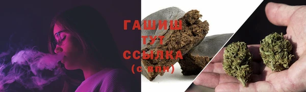 крисы Алзамай