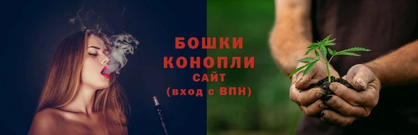 шишки Алексеевка