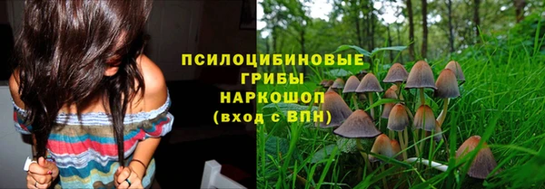 синтетический гашиш Алексин