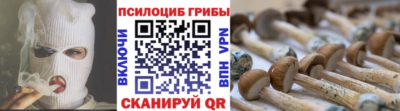 Галлюциногенные грибы прущие грибы  даркнет сайт  Оленегорск 